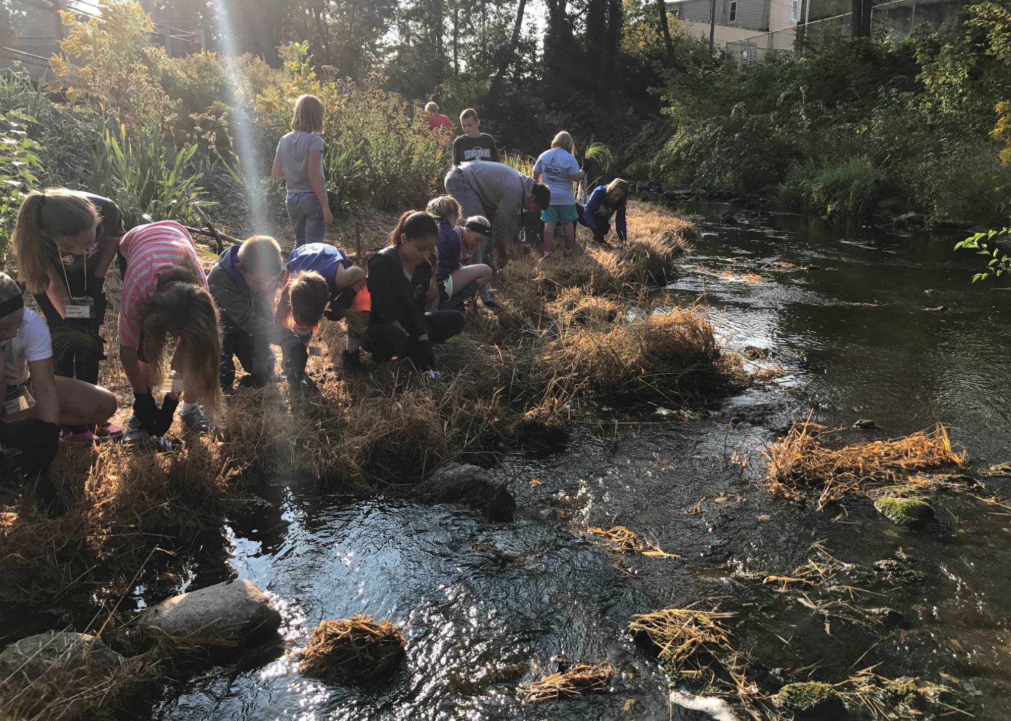 students working on an environmental action project on the bank of a small stream